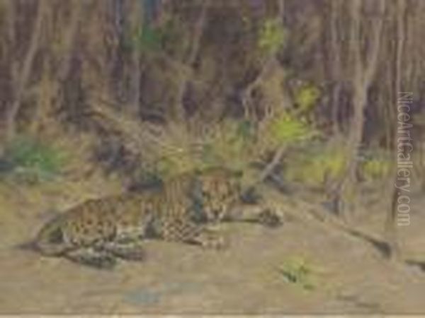 A Leopard Resting In The Shade - view 1