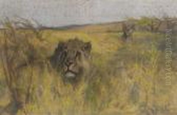 A Lion And Lioness Lying In The Long Grass - view 1