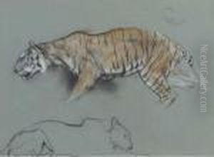 A Study Of Two Tigers: One Crouching And One Sleeping