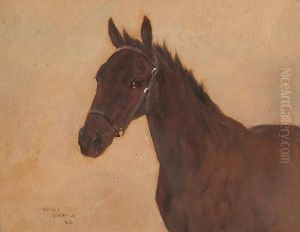 Portrait Of Kit, A Bay Horse by Arthur Wardle