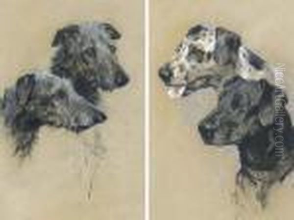 Two Scottish Deerhounds; And Two Great Danes - view 1