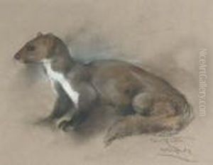 Study Of A Pine Martin by Arthur Wardle