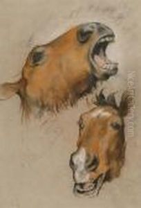 Equestian Study; Study Of A Goat by Arthur Wardle