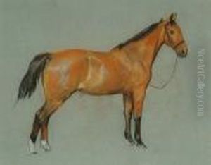 Study Of A Chestnut Pony by Arthur Wardle