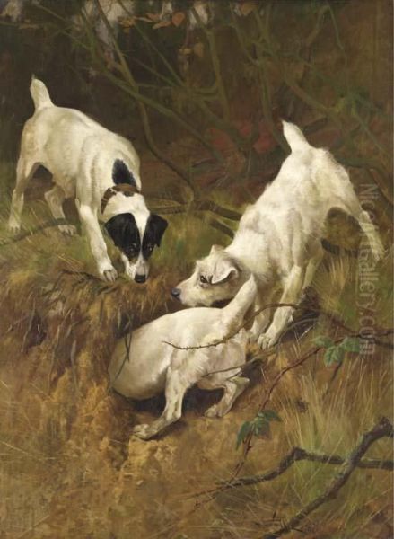 Jack Russell Terriers At A Rabbit Hole - view 1