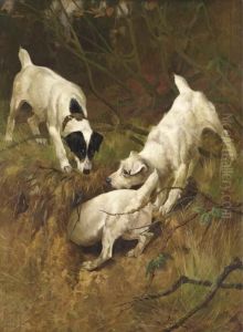 Jack Russell Terriers At A Rabbit Hole