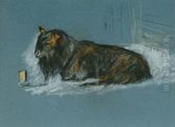 Long Haired Sheep - view 1
