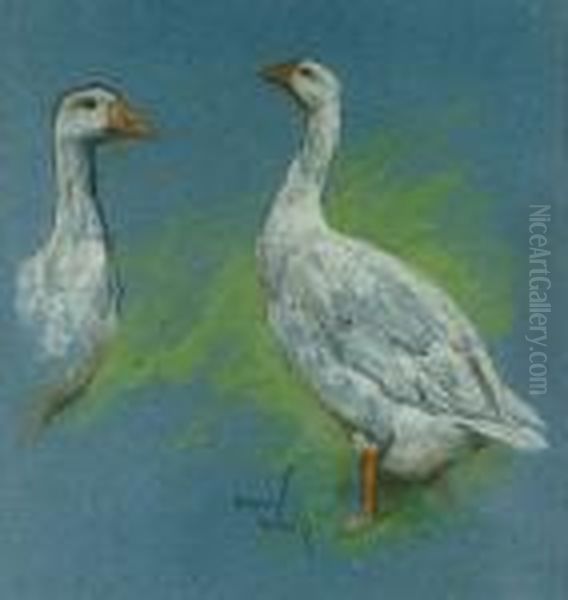 Geese - view 1