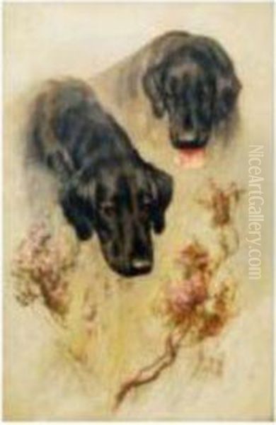 Labradors - view 1