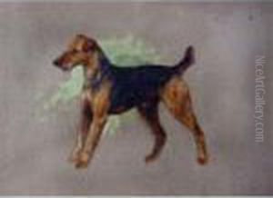 Airedale Terrier Airedale Terrier