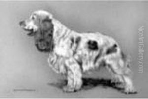 English Cocker Spaniel by Arthur Wardle