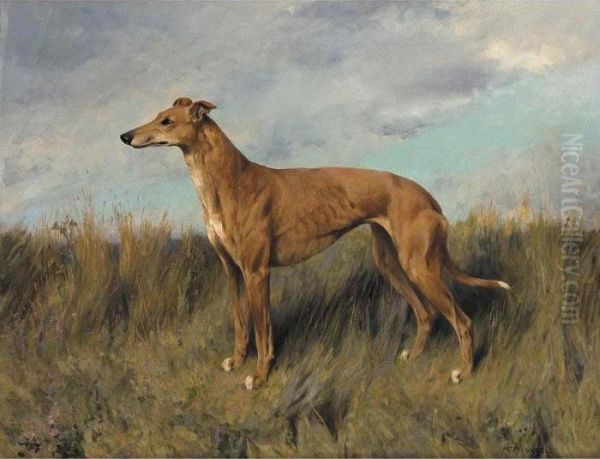 Henrietta Horn, A Greyhound - view 1