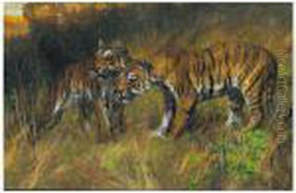 Startled - view 1