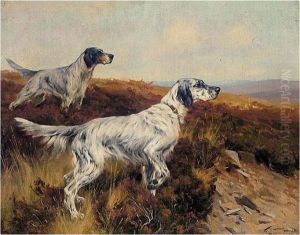 Setters On The Moors