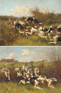 Hounds Of The Leicestershire Pack by Arthur Wardle