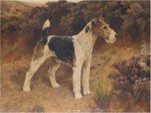 Mr Dunford's Champion Wire-haired Fox-terrier Barrington Bridegroom by Arthur Wardle