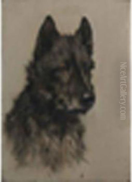 A Scottishterrier - view 1