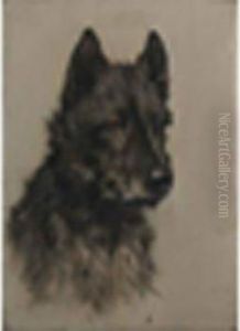 A Scottishterrier by Arthur Wardle