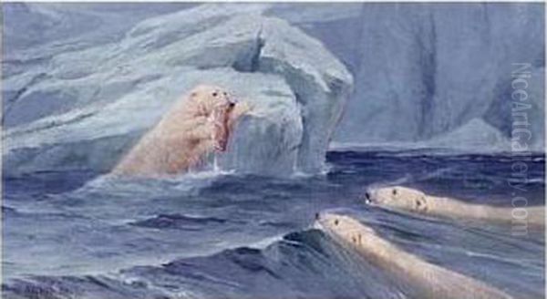 The Polar Bear Feast - view 1