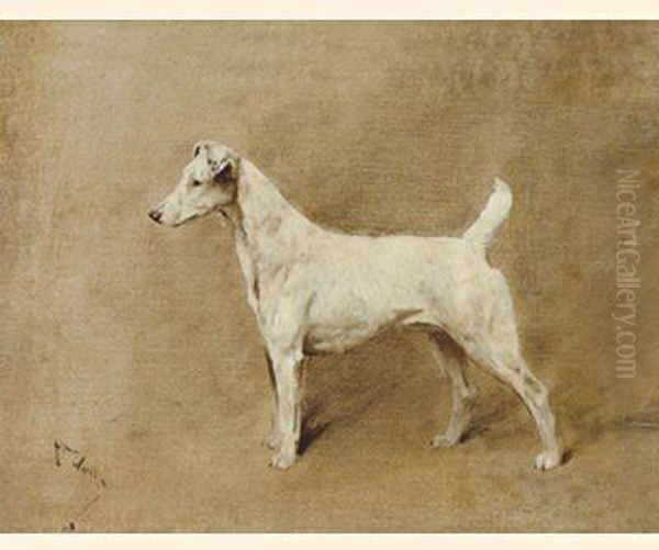 'ch. Sandown Violet', A Smooth-coated Fox Terrier - view 1