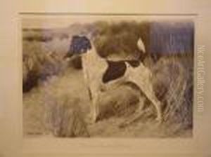 Champion Captain Double by Arthur Wardle
