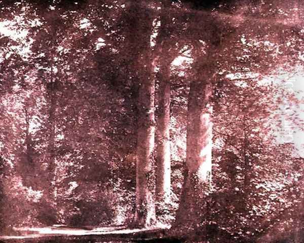Beech Trees, Lacock Abbey, c.1844 - view 1