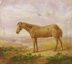 Old Billy, a Draught Horse, Aged 62