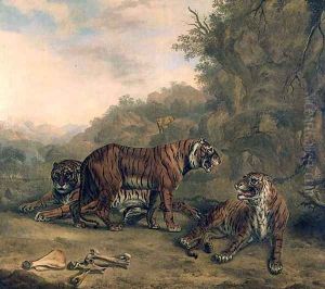Tigers in a Wooded Landscape