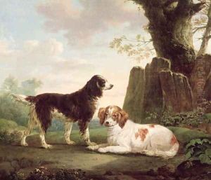 Two spaniels in a landscape