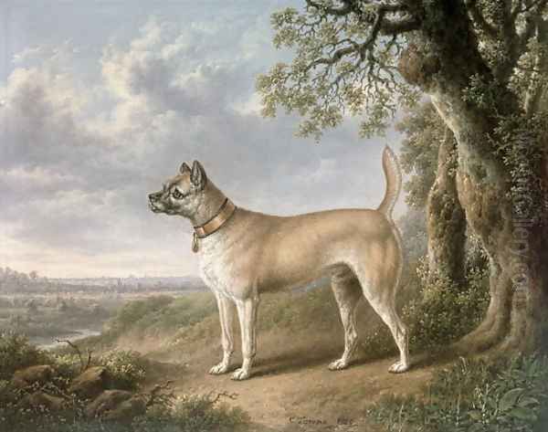 A Terrier on a path in a wooded landscape - view 1