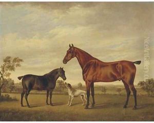 A horse and foal with a hound in a landscape