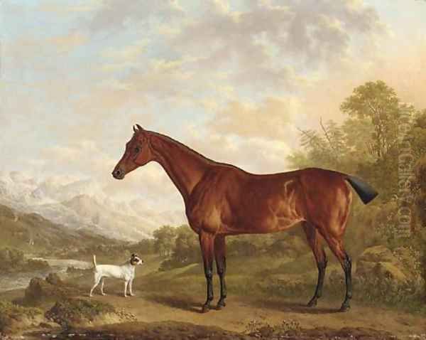 A bay hunter and terrier in a mountainous wooded landscape, a town and river beyond - view 1