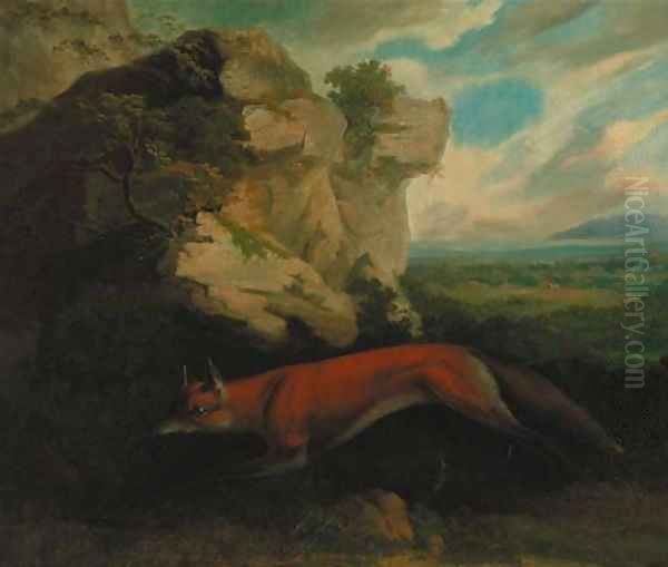 A fox by a rocky outcrop, a hunt beyond - view 1