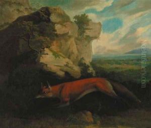 A fox by a rocky outcrop, a hunt beyond