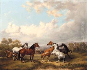 Horses in a Meadow by Charles Towne