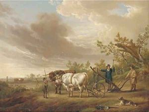Oxen harnessed to a plough