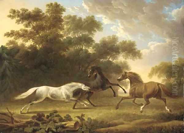 Stallions in a wooded paddock - view 1