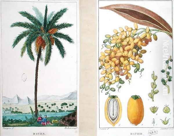 Date tree and fruit,early nineteenth century - view 1