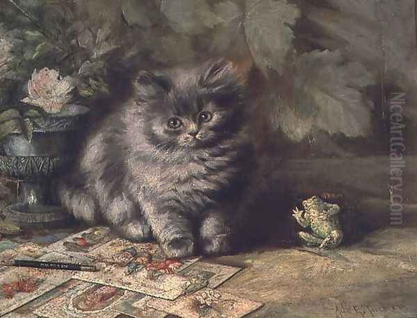 A Portrait of a kitten - view 1