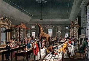 Interior of the Egyptian Hall, Piccadilly, etched by the artist, c.1815-25 by William Benjamin Sarsfield Taylor