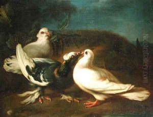 Doves, 1724 by Franz Werner von Tamm