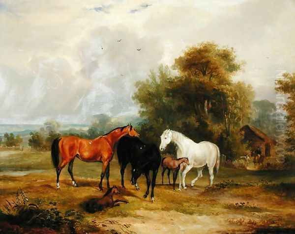 Horses Grazing- Mares and Foals in a Field - view 1