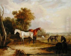 Horses Grazing- A Grey Stallion grazing with Mares in a Meadow by Francis Calcraft Turner