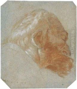 Head of a bearded old man in profile to the right by Lorenzo Tiepolo
