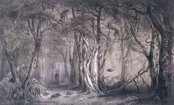 Virgin Forest on the Edge of the Blue Nile, from Voyages au Soudan Oriental et dans lAfrique Septentrionale by Pierre Tremaux 1818-95 engraved by Tirpenne and J. Gaildrau, 1852 - view 1