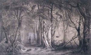 Virgin Forest on the Edge of the Blue Nile, from Voyages au Soudan Oriental et dans lAfrique Septentrionale by Pierre Tremaux 1818-95 engraved by Tirpenne and J. Gaildrau, 1852 by Pierre Tremaux