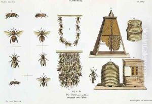 Bees and bee-keeping, from The Young Landsman, published Vienna, 1845 Bees and bee-keeping, from The Young Landsman, published Vienna, 1845
