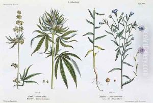 Cannabis and Flax, from The Young Landsman, published Vienna, 1845 by Matthias Trentsensky