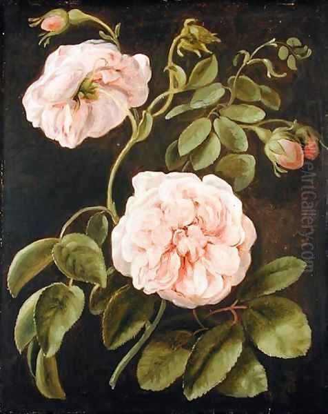 Flower Study - view 1