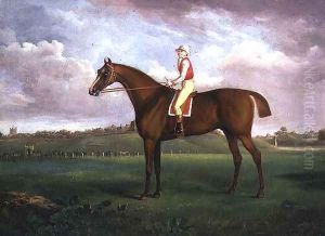 Jockey Up